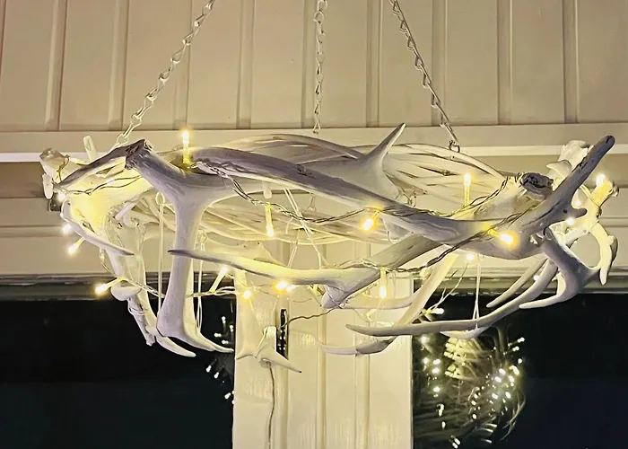 Apartment And Cozy Townhouse *